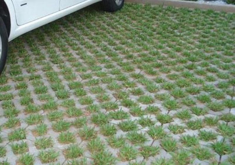 Pisograma ou Concregrama Quadriculado